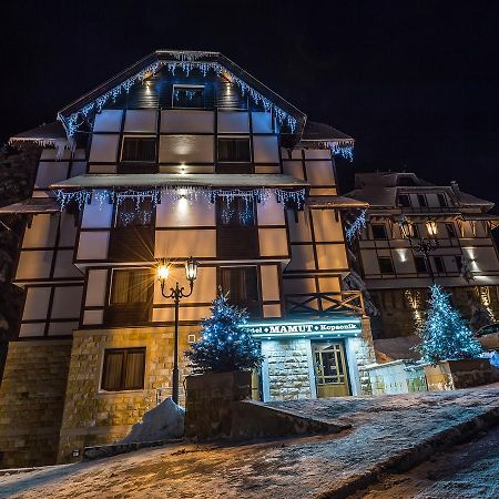 Apart Hotel Mamut Копаоник Екстер'єр фото