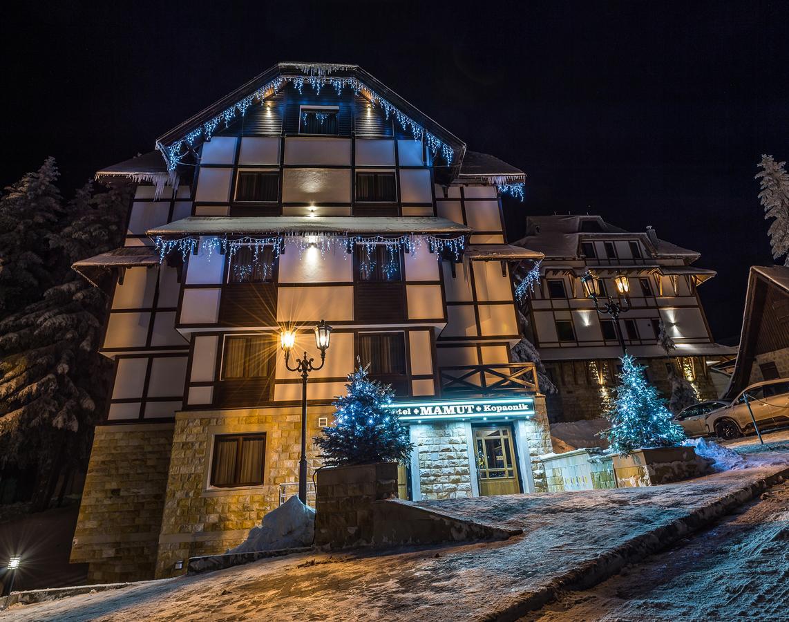 Apart Hotel Mamut Копаоник Екстер'єр фото